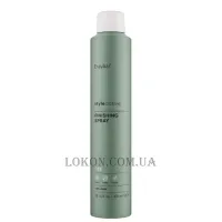 ERAYBA S15 Finishing Spray - Лак сильної фіксації