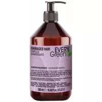 DIKSON Every Green Damaged Hair Shampoo - Відновлюючий шампунь