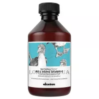 DAVINES Naturaltech Well Being Shampoo - Зволожуючий шампунь для всіх типів волосся