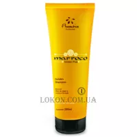 FLORACTIVE Marocco Golden Plus Shampoo - Шампунь з аргановим маслом