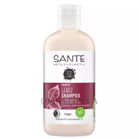 SANTE Family Birch Leaf&Plant Protein Shine Shampoo - Шампунь для блиску 