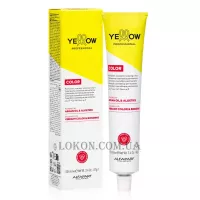 YELLOW Color Argan Oil & Aloetrix Permanent Cream - Стійка фарба для волосся