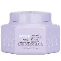 SCHWARZKOPF Fibre Clinix Tame Treatment - Розгладжуюча маска