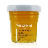 BLANCREME Face Mask with Honey - Відновлююча маска для обличчя 