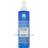 VALQUER Eco Directional Spray - Фіксуючий спрей для волосся