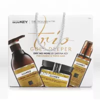 SARYNA KEY Damage repair Trio - Набір для відновлення волосся (шампунь 500мл, маска 500мл, олія 105мл)