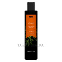 INVIDIA Botoplus Argan After Color Shampoo - Шампунь для фарбованого волосся з аргановою олією