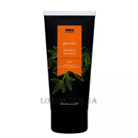 INVIDIA Botoplus Argan After Color Mask - Маска для фарбованого волосся з аргановою олією