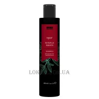 INVIDIA Botoplus Repair Keratin Shampoo - Відновлюючий шампунь з кератином для пошкодженого волосся