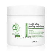 STOYANA Mask After Peeling And Cleaning - Маска після пілінгів і чисток