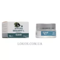 SYSTEM SEGMENT-L Clear Acrylic Powder - Акрилова пудра, прозора