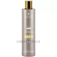 HAIR COMPANY Inimitable Style Post Treatment Mask - Маска для волосся з екстрактом шовку та алое вера