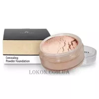 ANNA LOTAN MakeUp Concealing Powder Foundation - Пудра камуфляжна