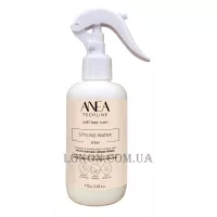 ANEA TECHLINE Styling Water Spray - Вода для стайлінгу