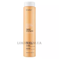 ERAYBA ABH Repair Shampoo - Відновлюючий шампунь для волосся