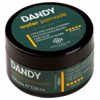 LISAP BHH Dandy Water Pomade - Глянцевий віск для волосся