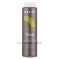 SENSUS Illumyna Care Repair Shampoo - Відновлюючий шампунь для пошкодженого волосся