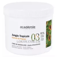 ACADEMIE Modelling Wax Jungle Tropicale - Моделюючий віск 