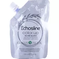 ECHOSLINE Color Up Silver Blonde - Тонуюча маска для волосся 