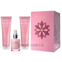 MEDAVITA Nutrisubstance Holiday Kit - Набір новорічний для ультраживлення cухого волосся