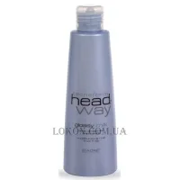 BIACRE Tecno Form Head Way Anti-Frizz Moisturizing Milk - Зволожувальне молочко для неслухняного волосся