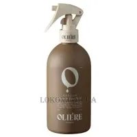 OLIERE PARIS Valour Leave In Hair Mask - Незмивна спрей-маска для реконструкції волосся