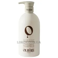 OLIERE PARIS Color Eclat Hair Moisturizer - Крем зволожуючий для фарбованого волосся