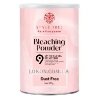 KERATINE QUEEN Bleaching Powder Up To 9 Level - Порошок для висвітлення волосся