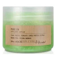 GREENSOHO Pure.On Exfoliante - Скраб для шкіри голови