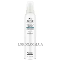 HAIR COMPANY Inimitable Style Volume Up Mousse - Мус для об'єму