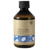 HP FIRENZE Geo Vita Grease Removing Shampoo - Шампунь для жирної шкіри голови